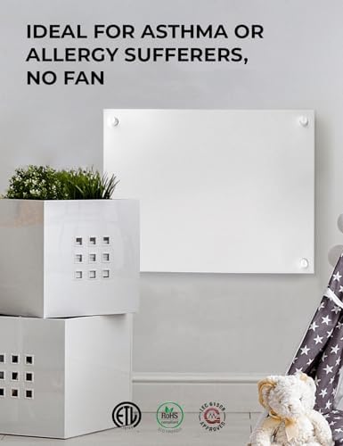 EconoHome Wall Mount Electric Heater with Thermostat