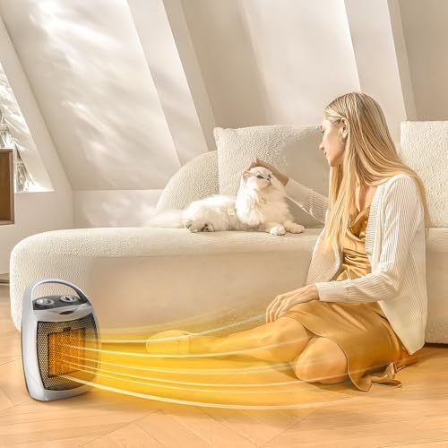 Crzoe Portable Electric Heater with Thermostat and Fan