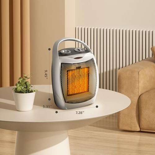 Crzoe Portable Electric Heater with Thermostat and Fan