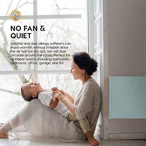 EconoHome 250W Wall Mount Convector Heater
