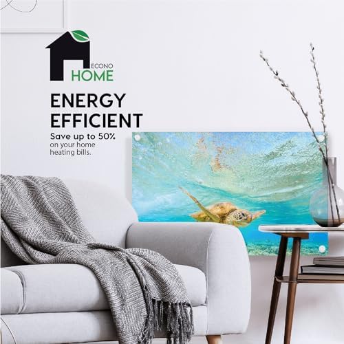 EconoHome Wall Mount Space Heater Panel 600W with Thermostat