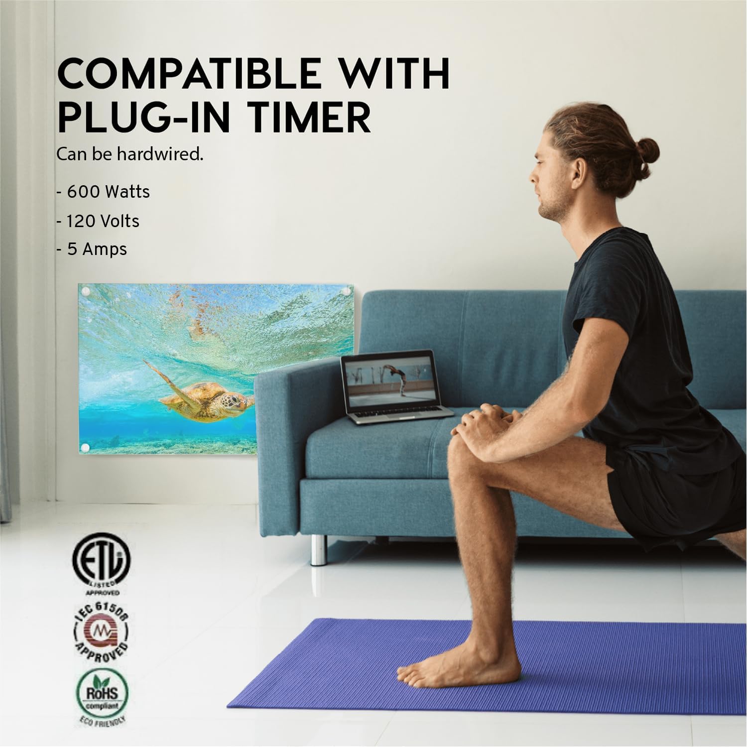 EconoHome Wall Mount Space Heater Panel 600W with Thermostat